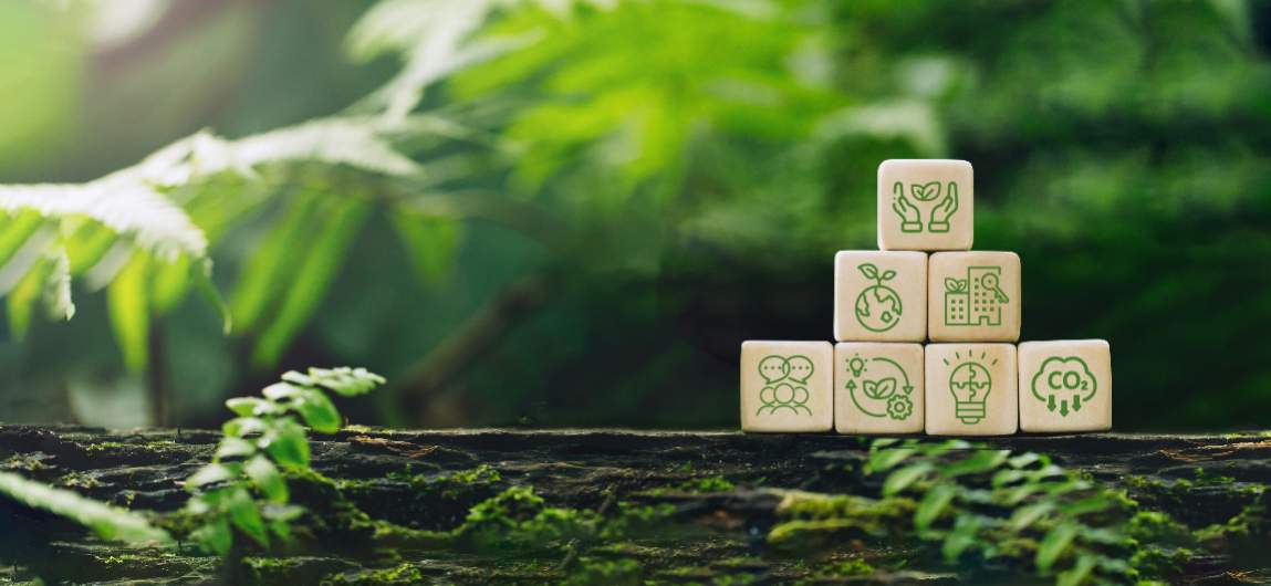 Implementing Sustainability Strategies