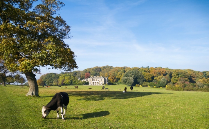 buying or selling a residential property