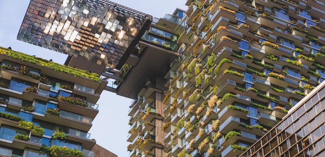 Sustainability and ESG Services
