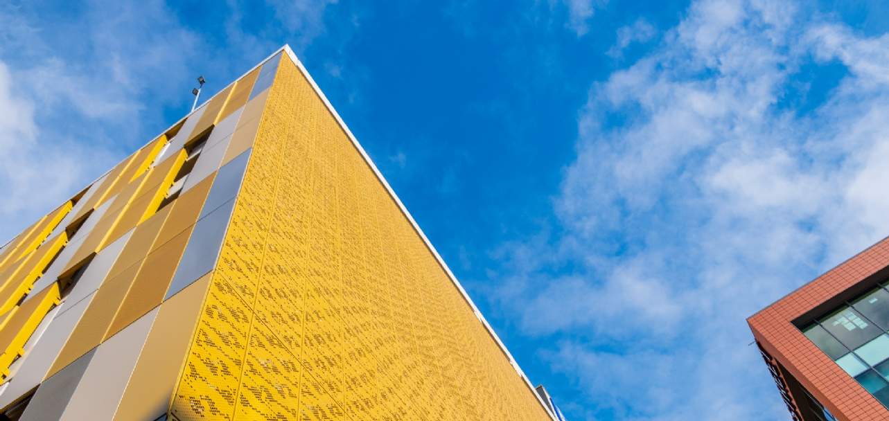 savills vietnam career